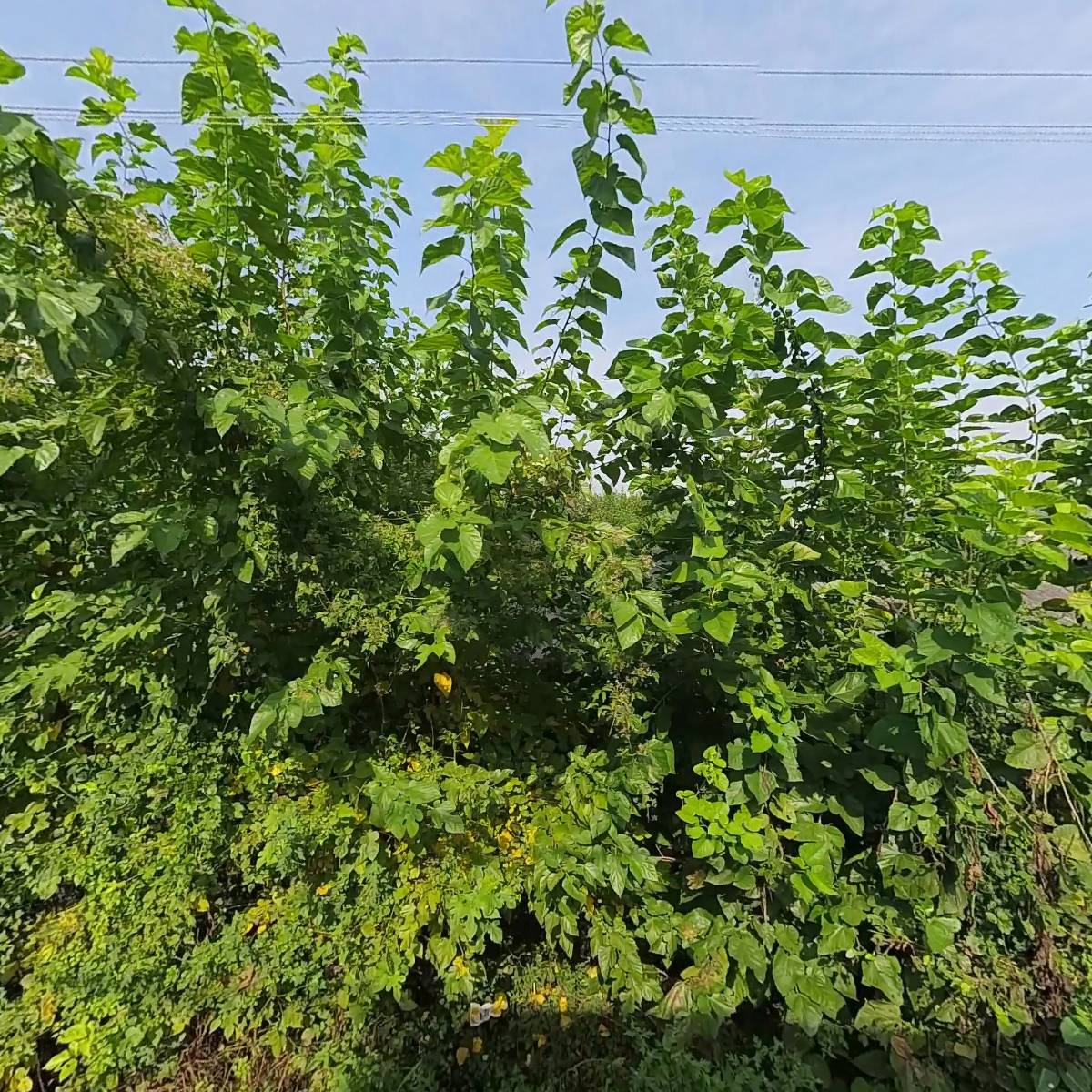 디자인함