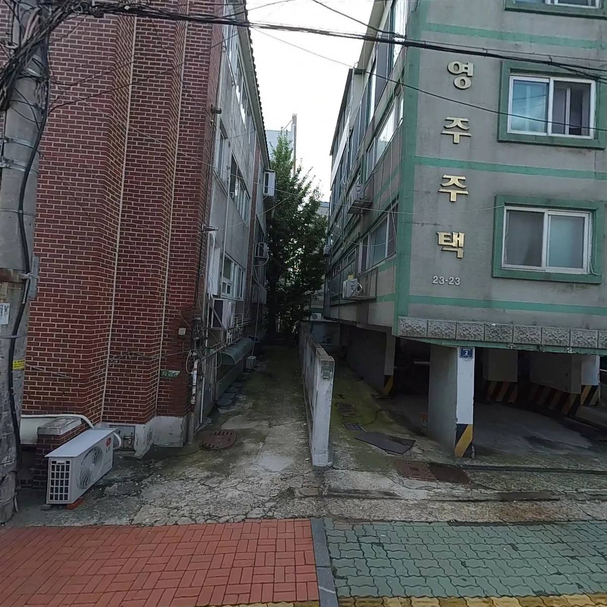 포레스트랩