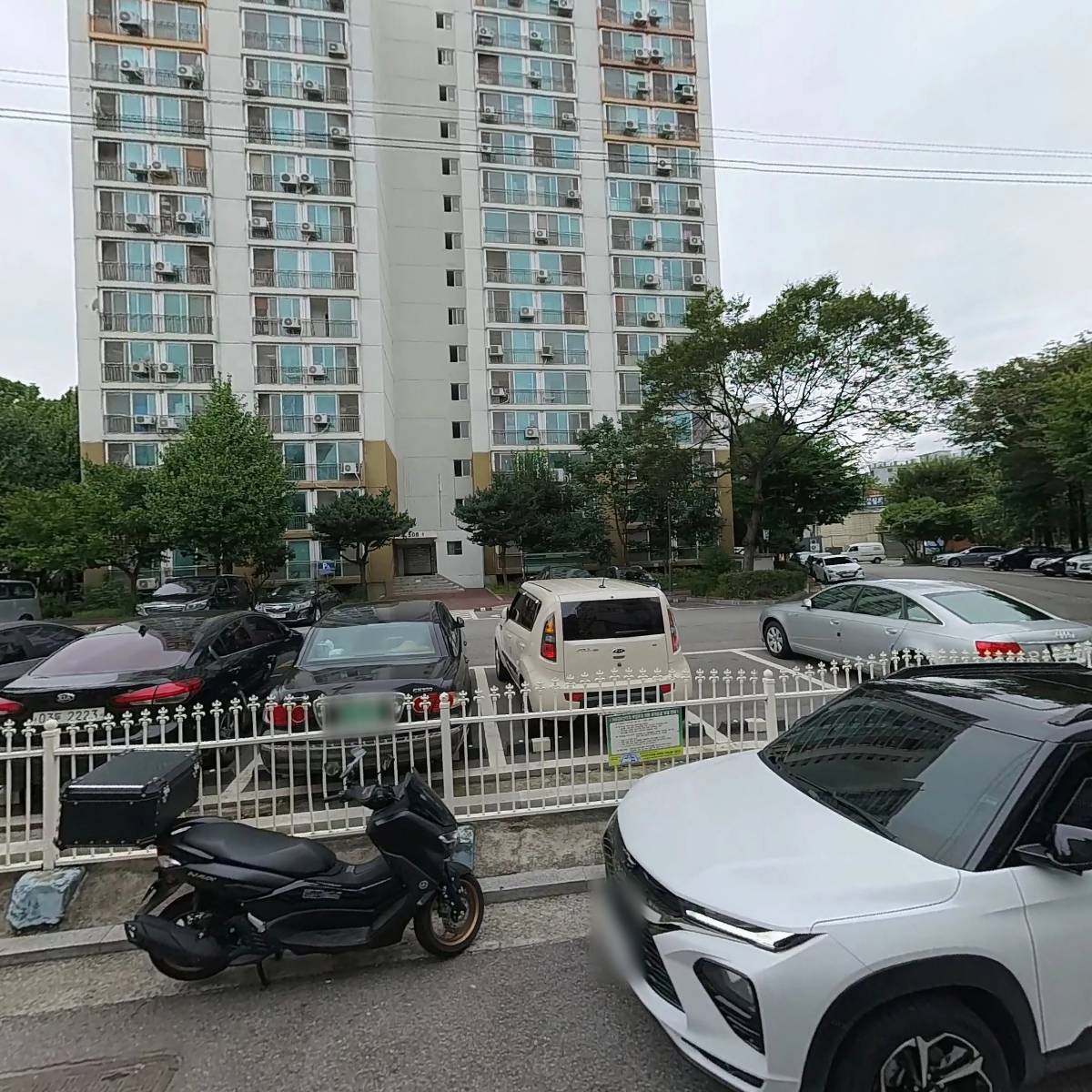 평화문화, 도서출판 평화