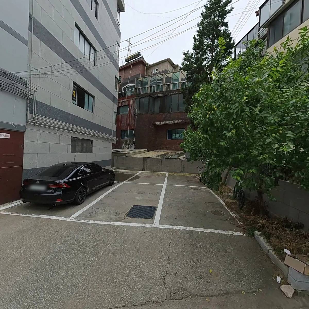 평화문화, 도서출판 평화_3
