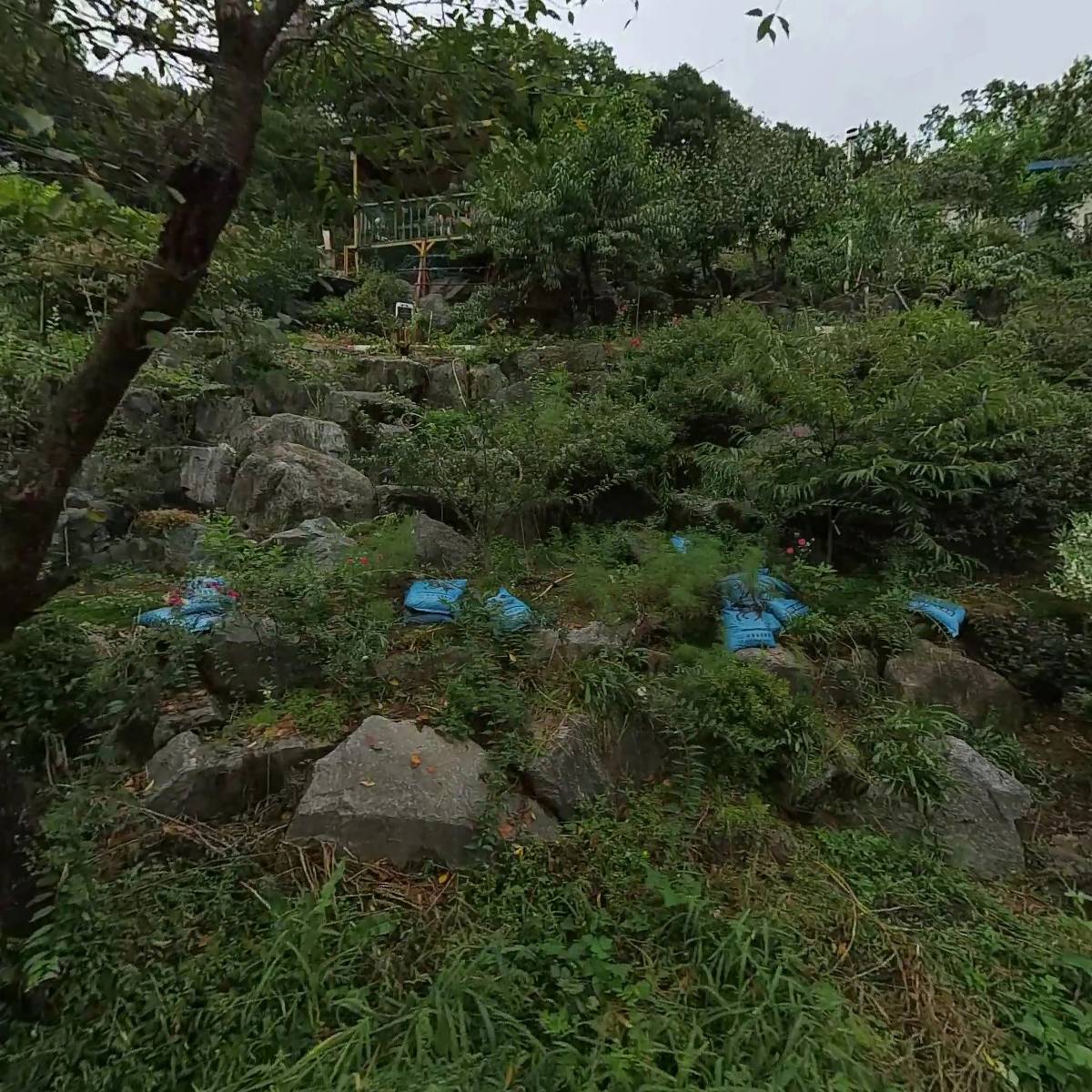 한밀푸드