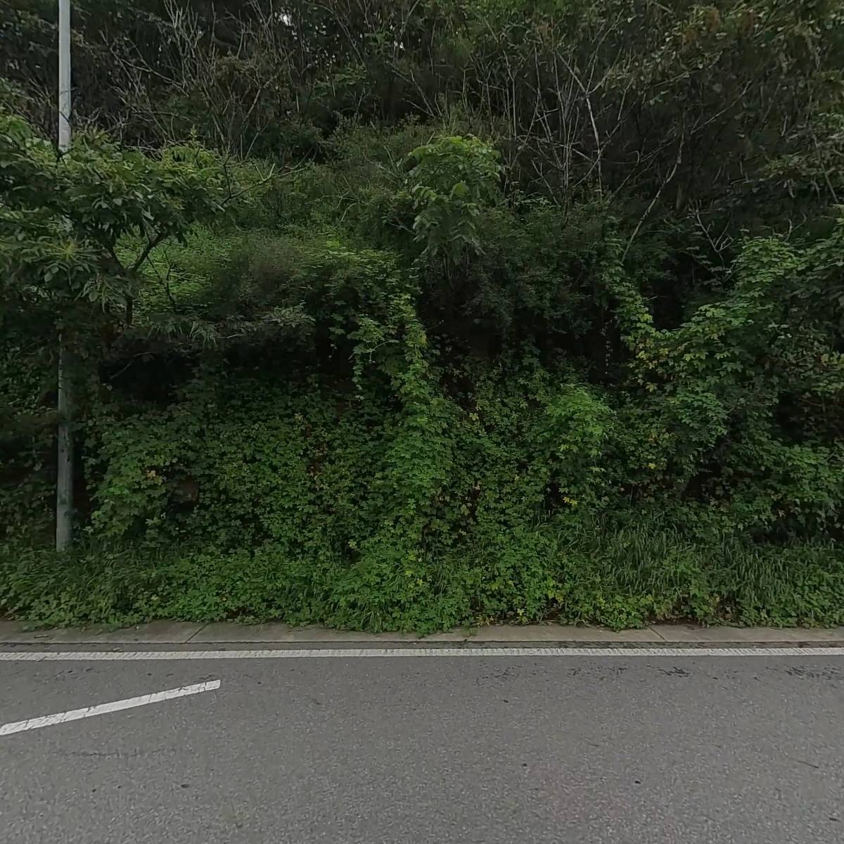 프리메라