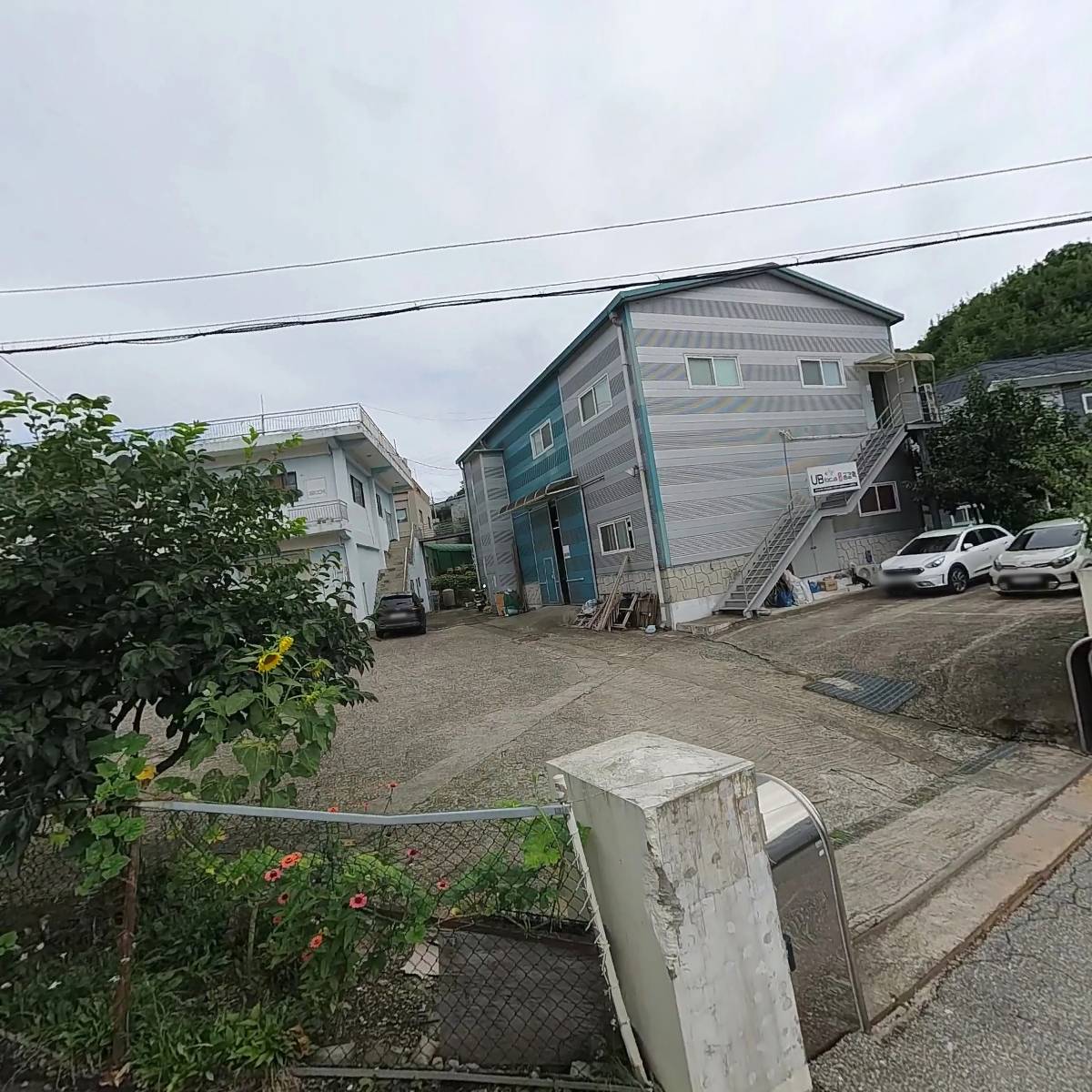 그린텍스