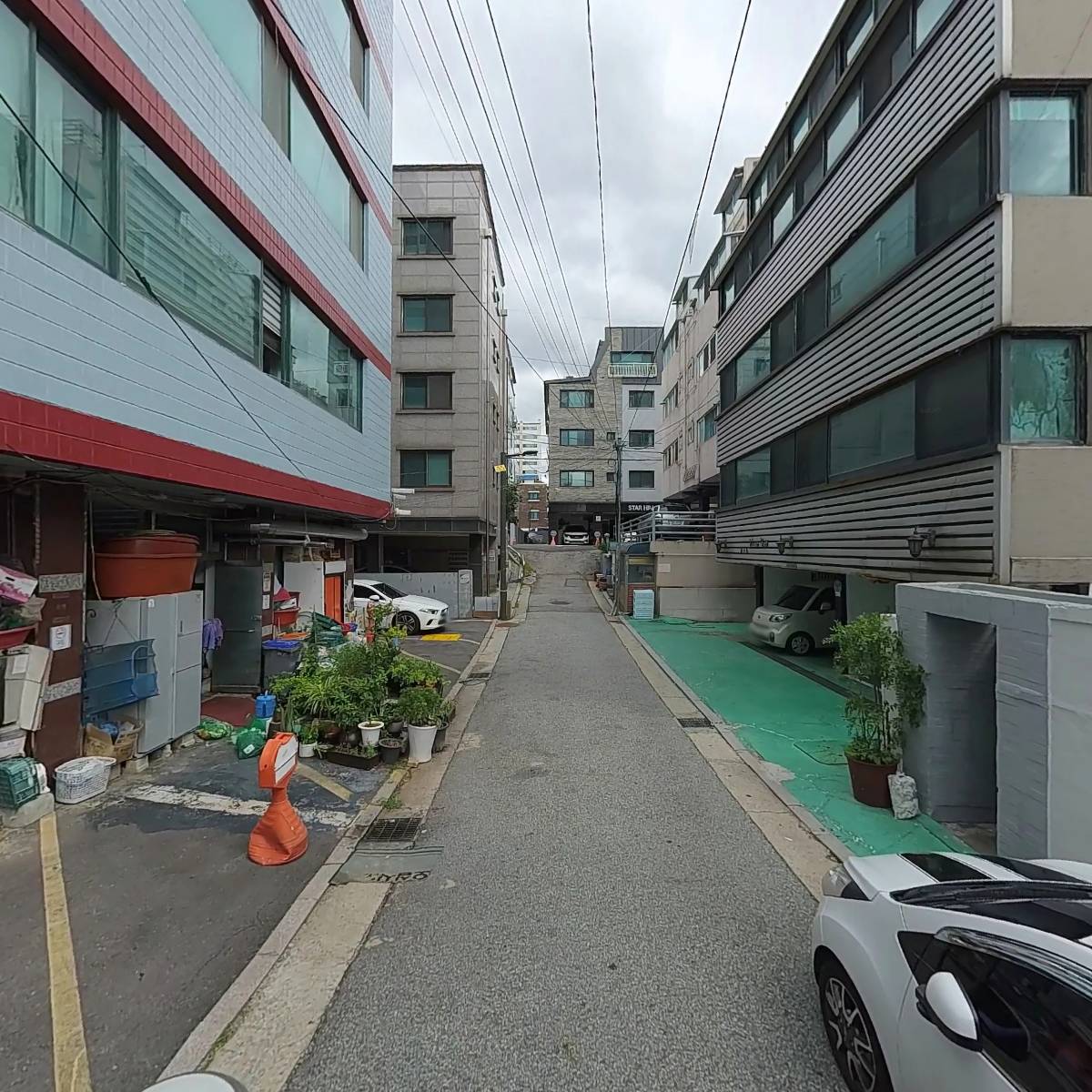 구아바_2