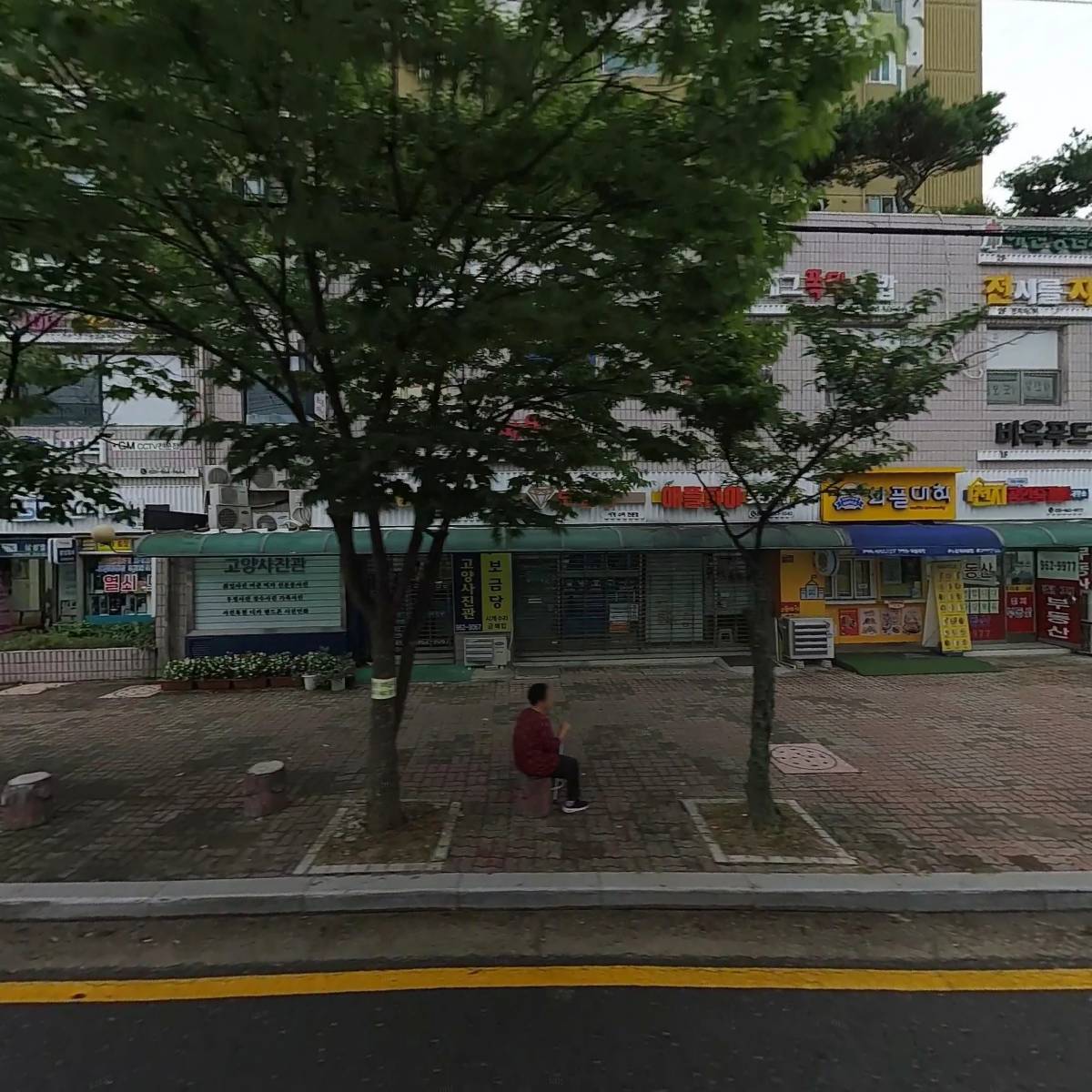 두부박사