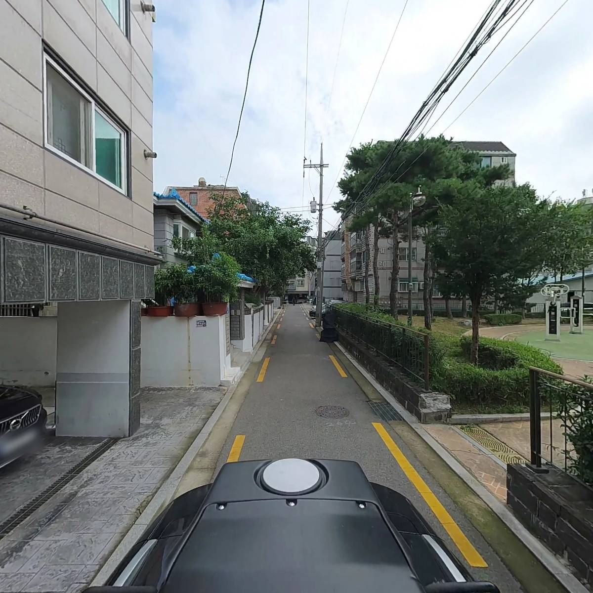 오일나라코리아_2