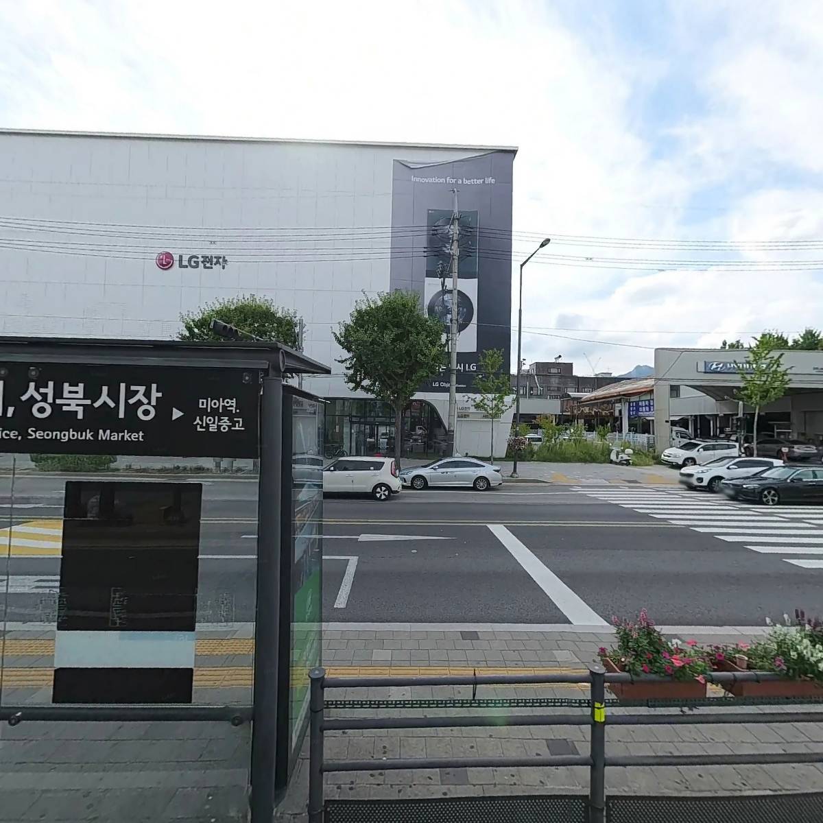 모네동물피부과_3