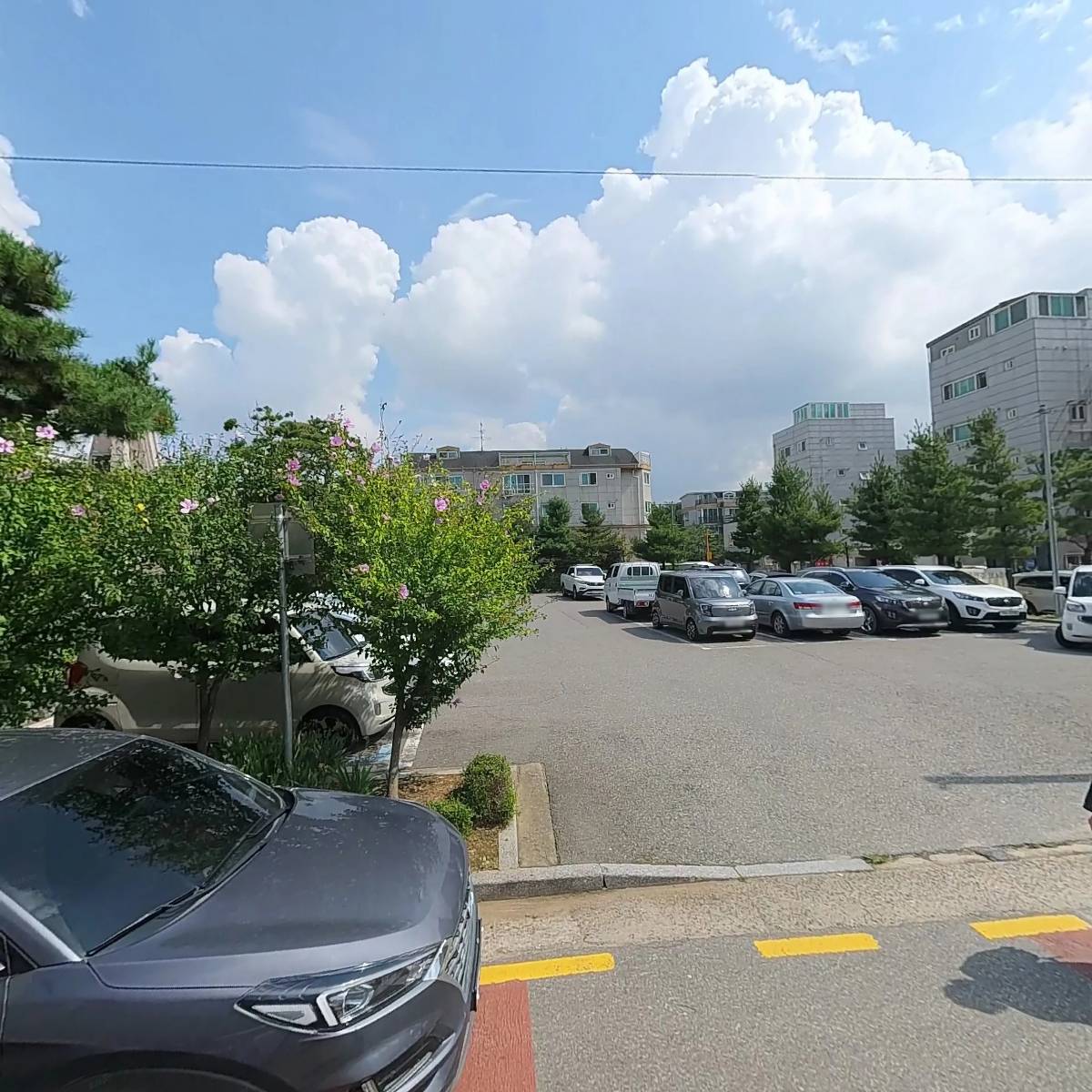 더드림마트