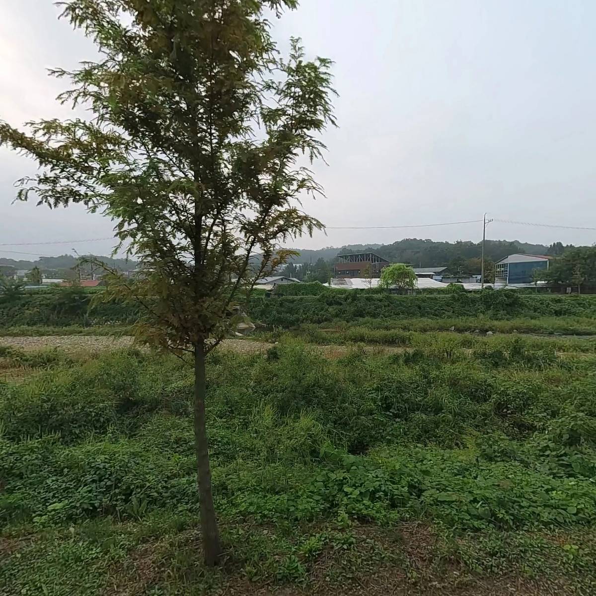 한국바이오랩