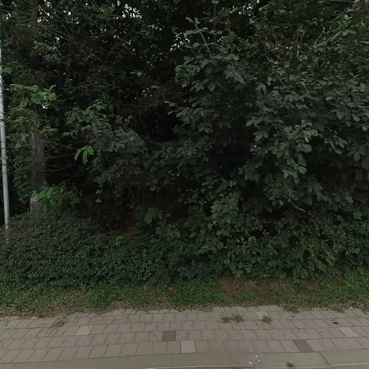 전주가마솥곰탕