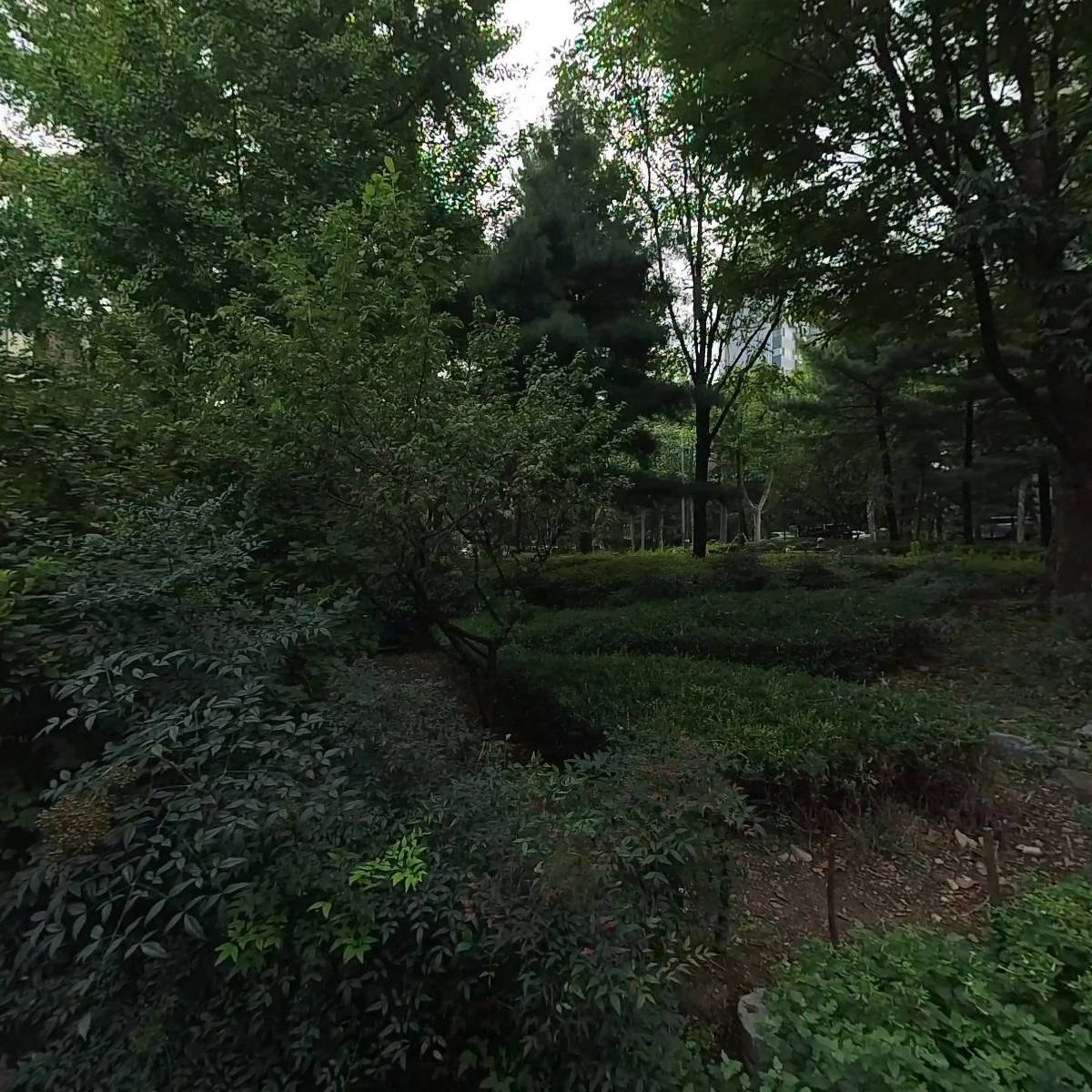 하나영상예술연구원_3
