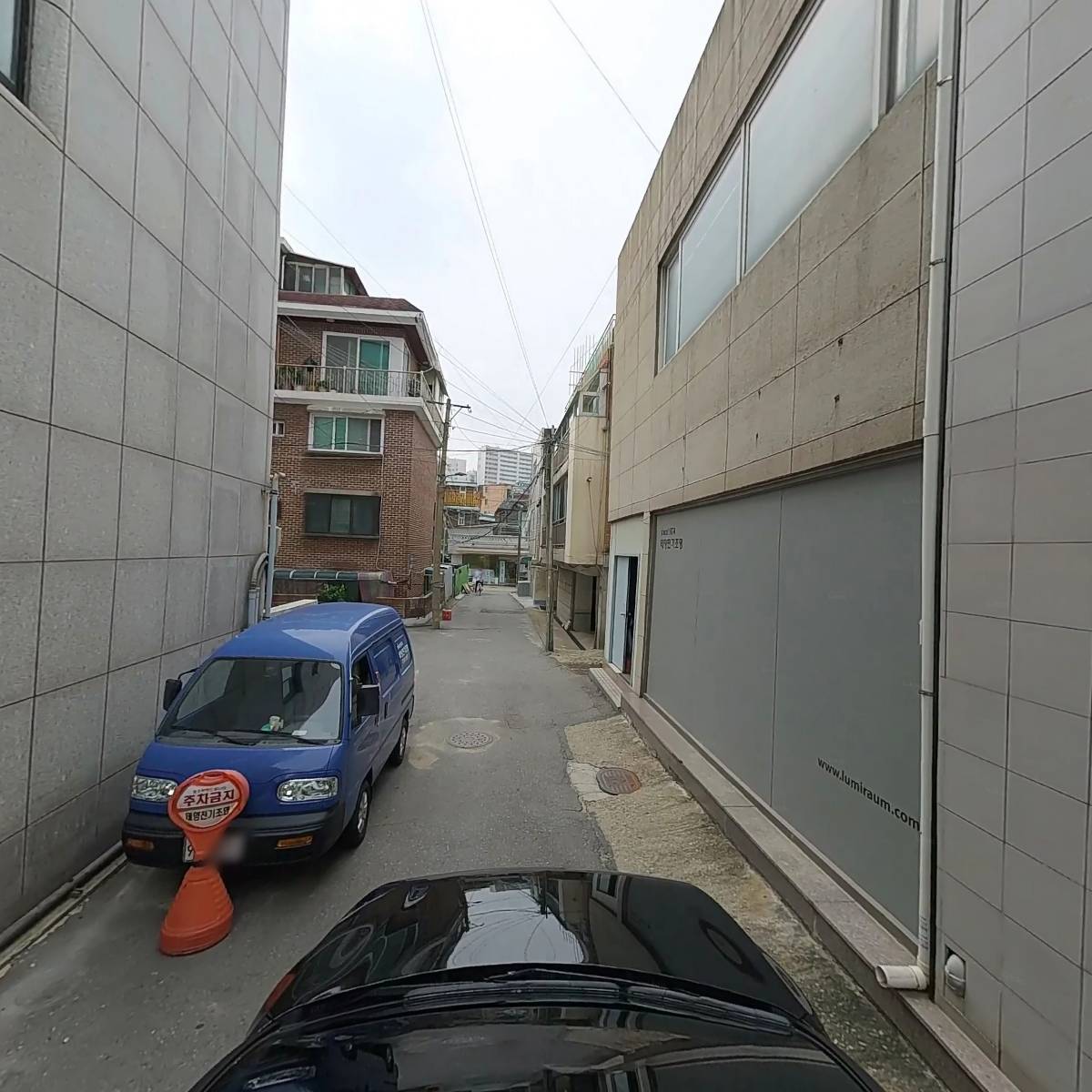 파니모들_4