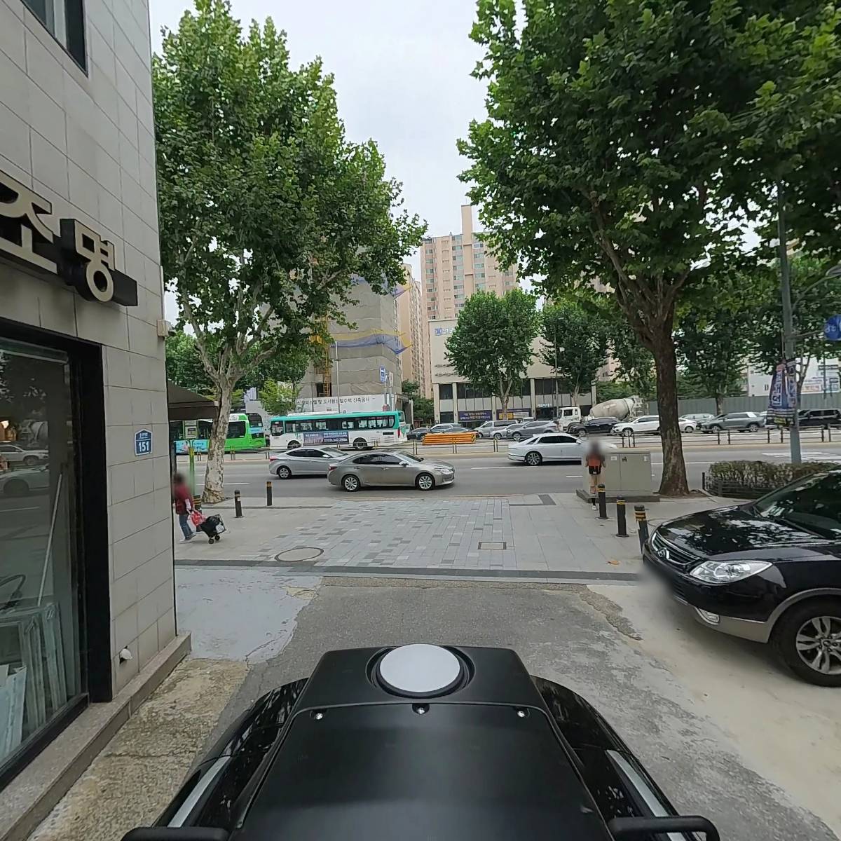 파니모들_2