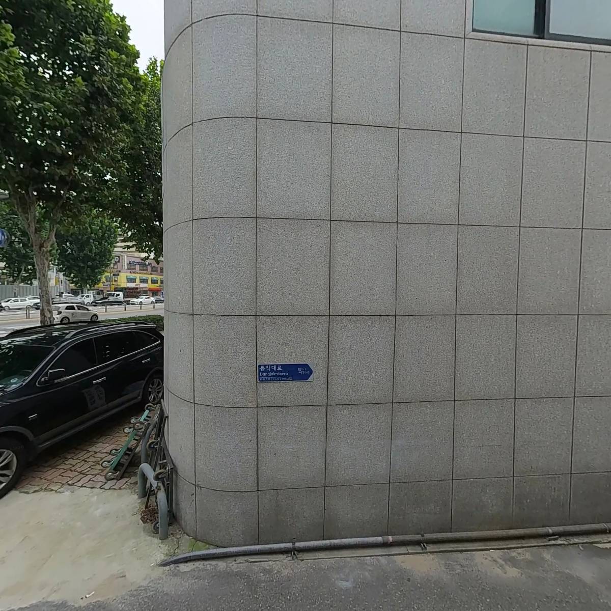 파니모들_3