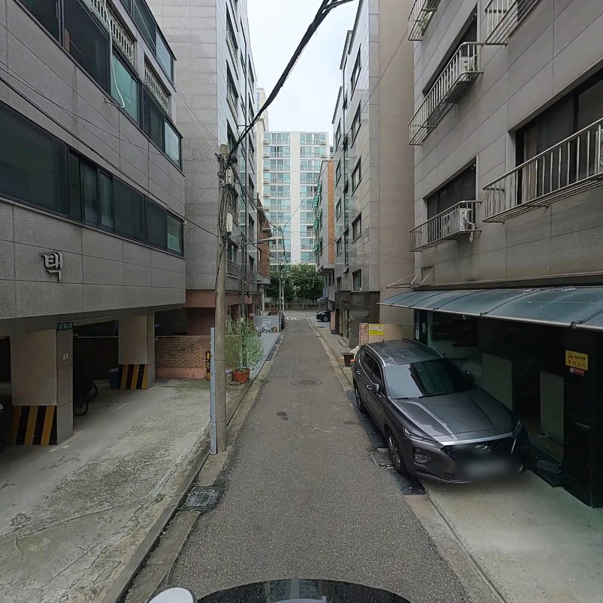 단하나피티_2