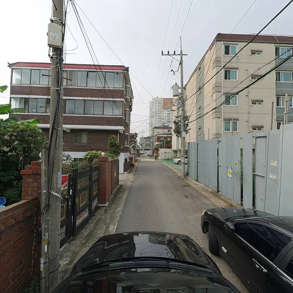 원림임목_4