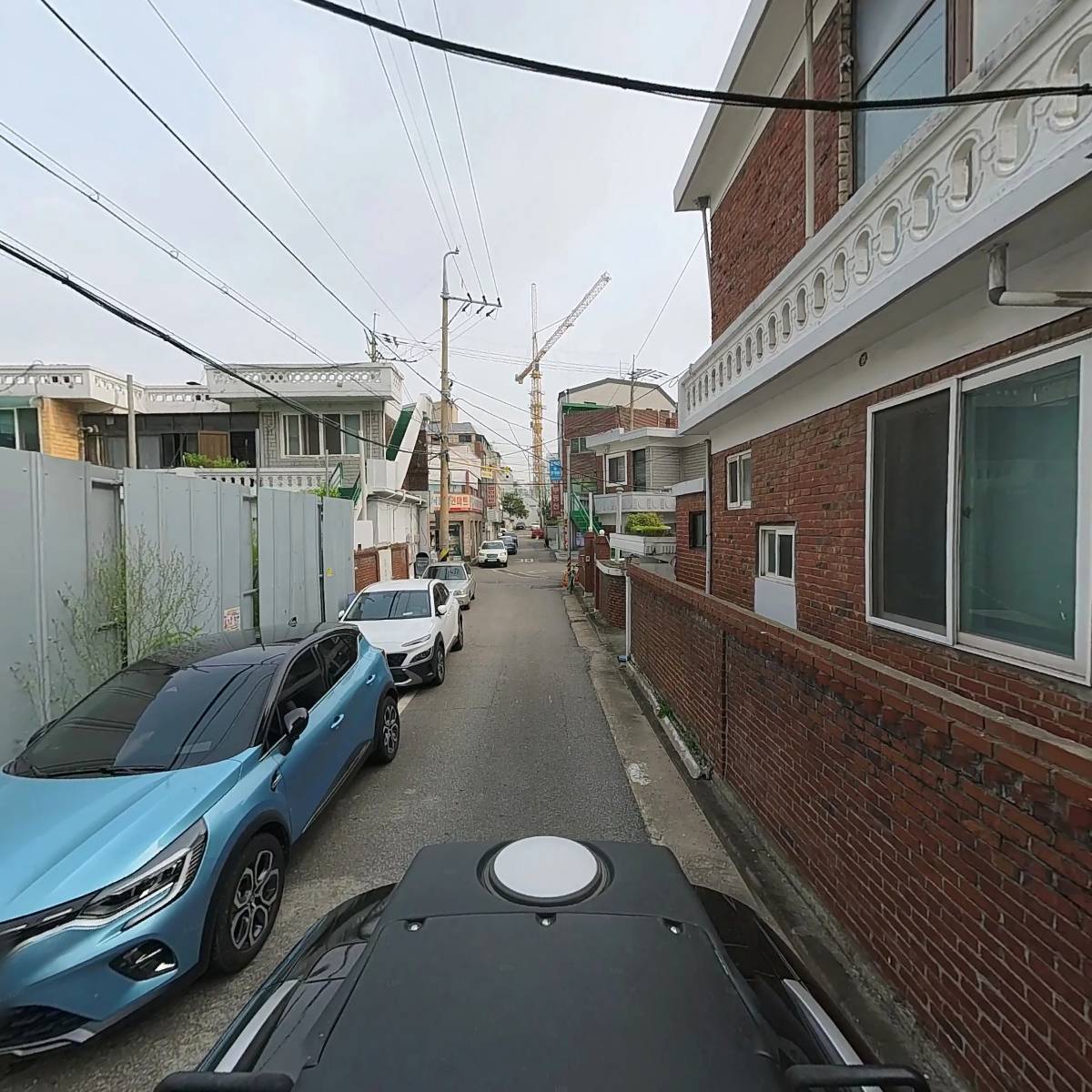원림임목_2
