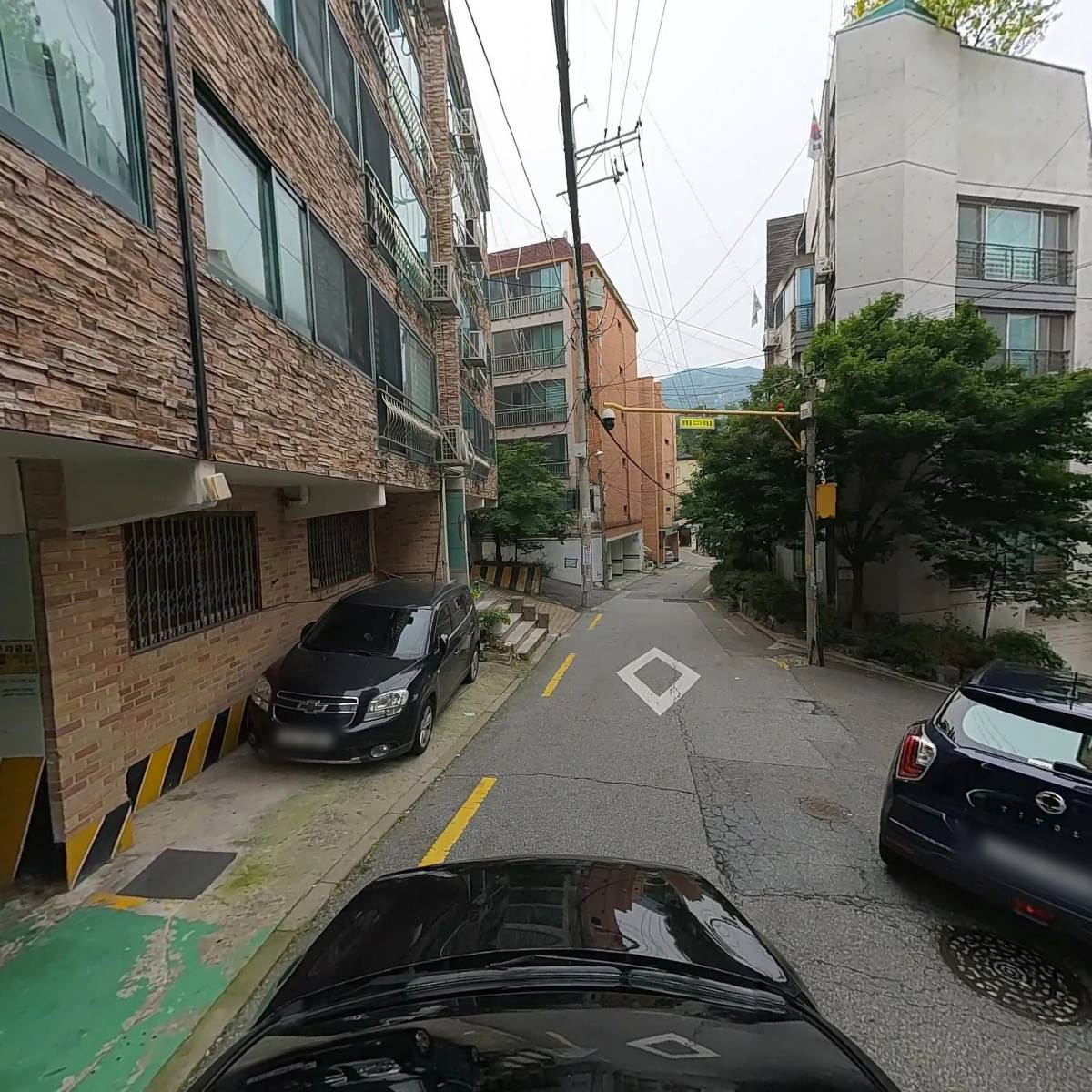 뽀독 FORDOG_4
