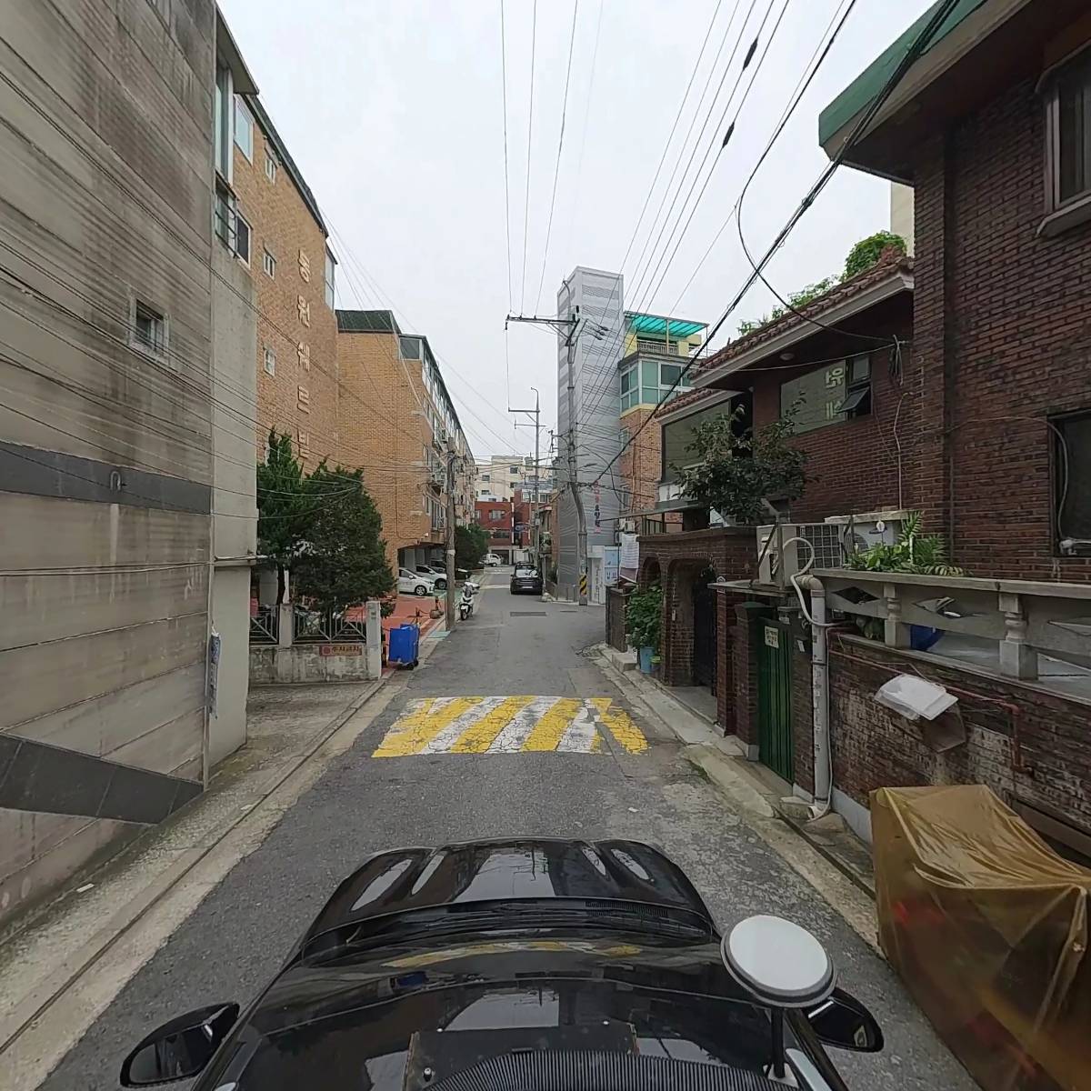 GDK굳덴탈코리아_4