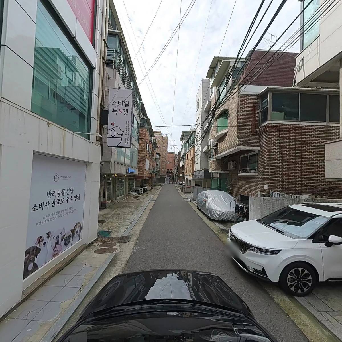 스타일독앤캣 강아지고양이 목동점_4