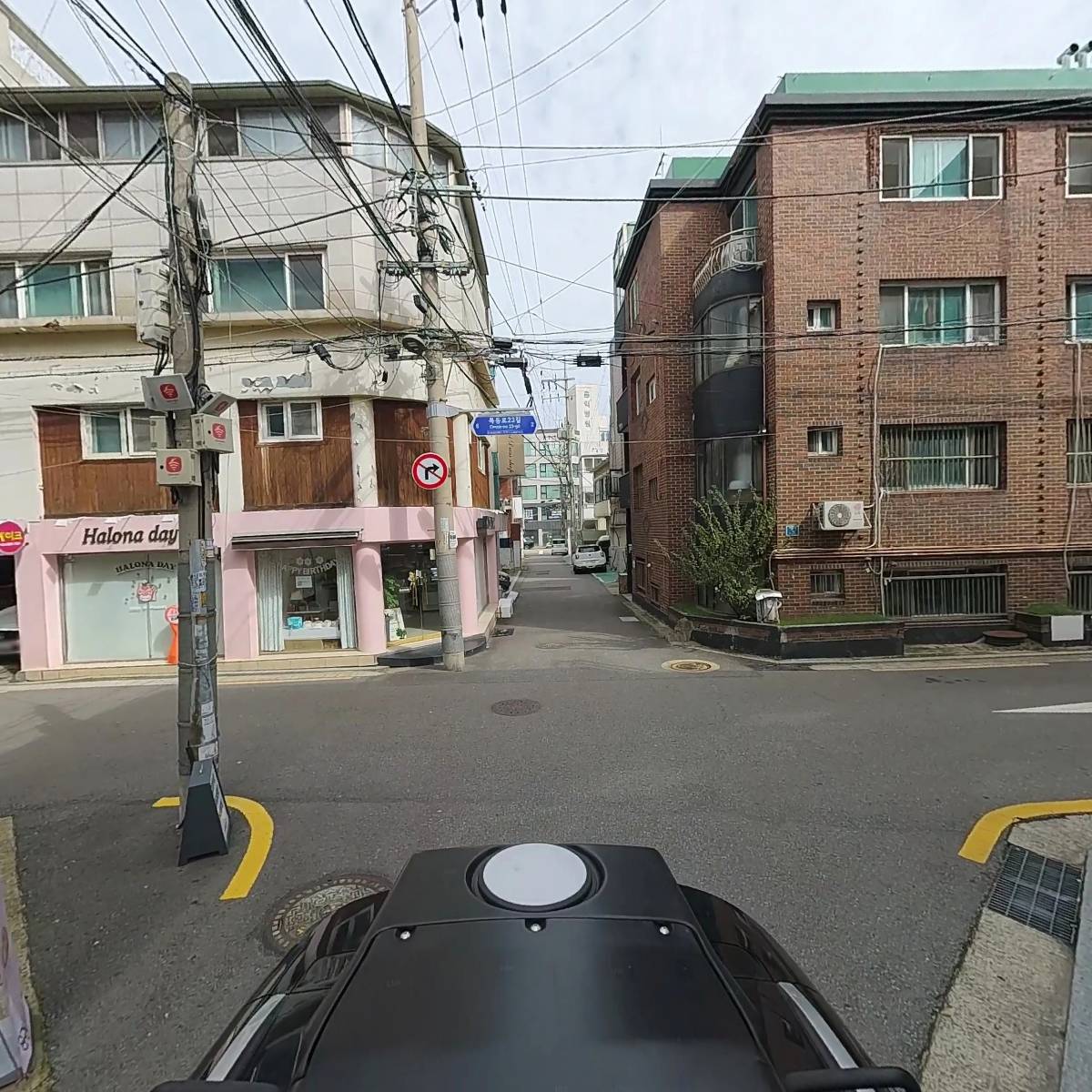 스타일독앤캣 강아지고양이 목동점_2