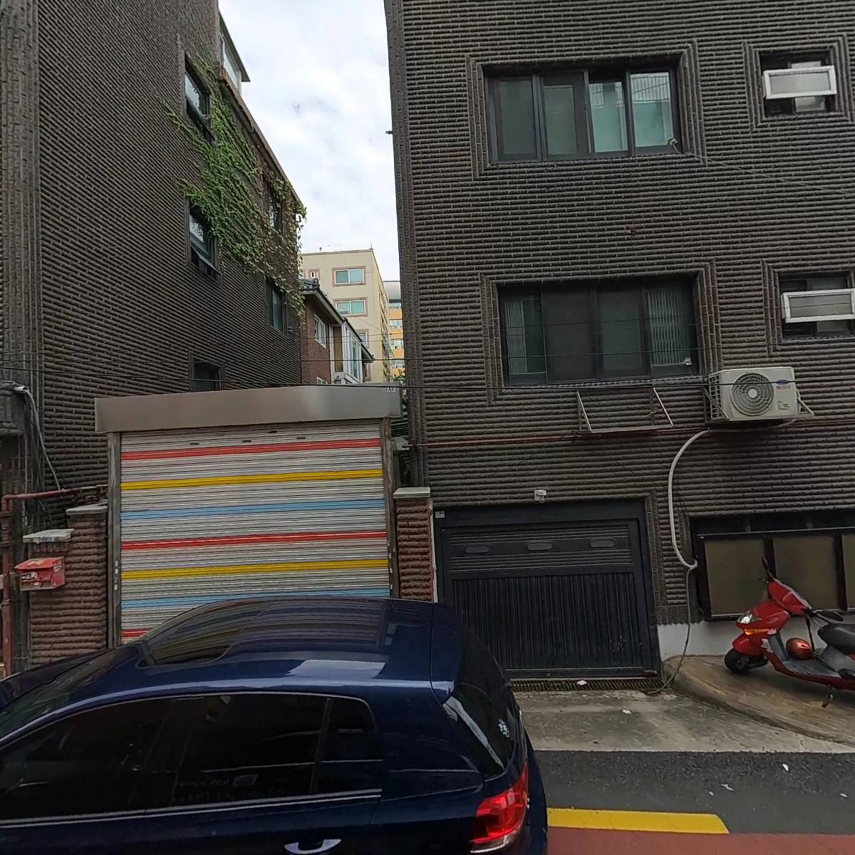 스테디 조