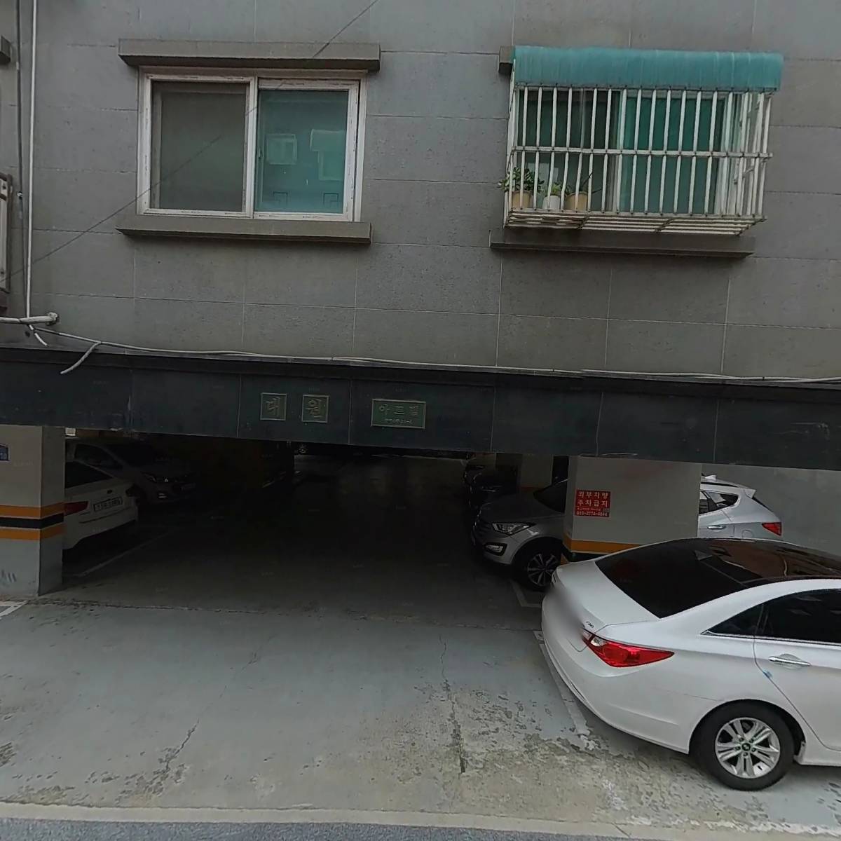 스테디 조_3