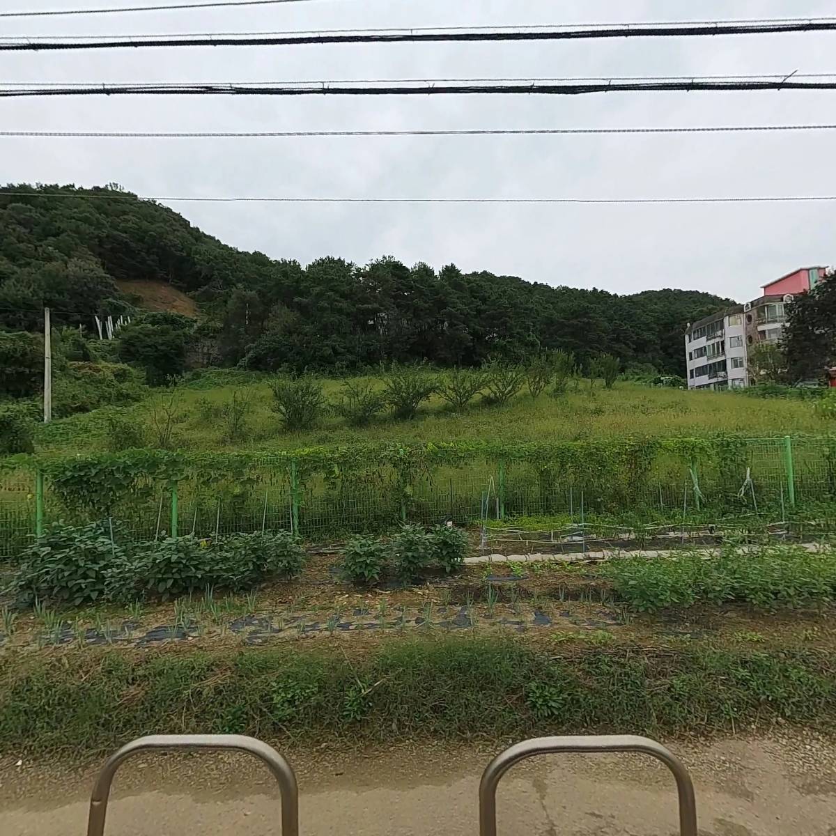 햇살어린이집
