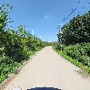 쥐눈이콩마을_2