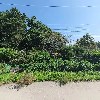 쥐눈이콩마을_3