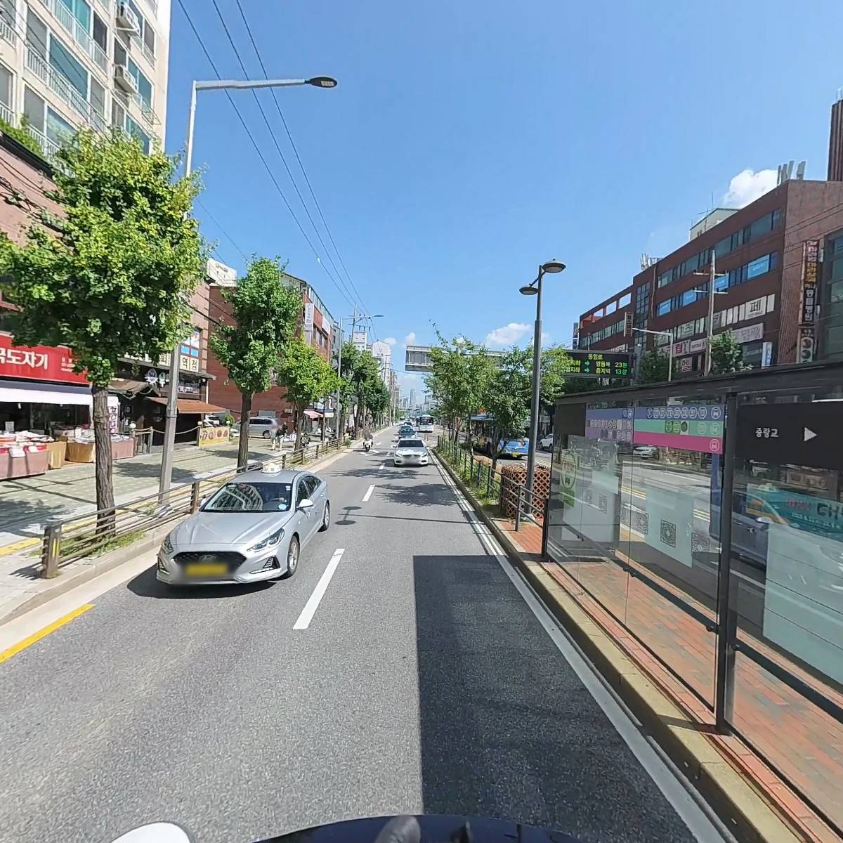 커피나무_2
