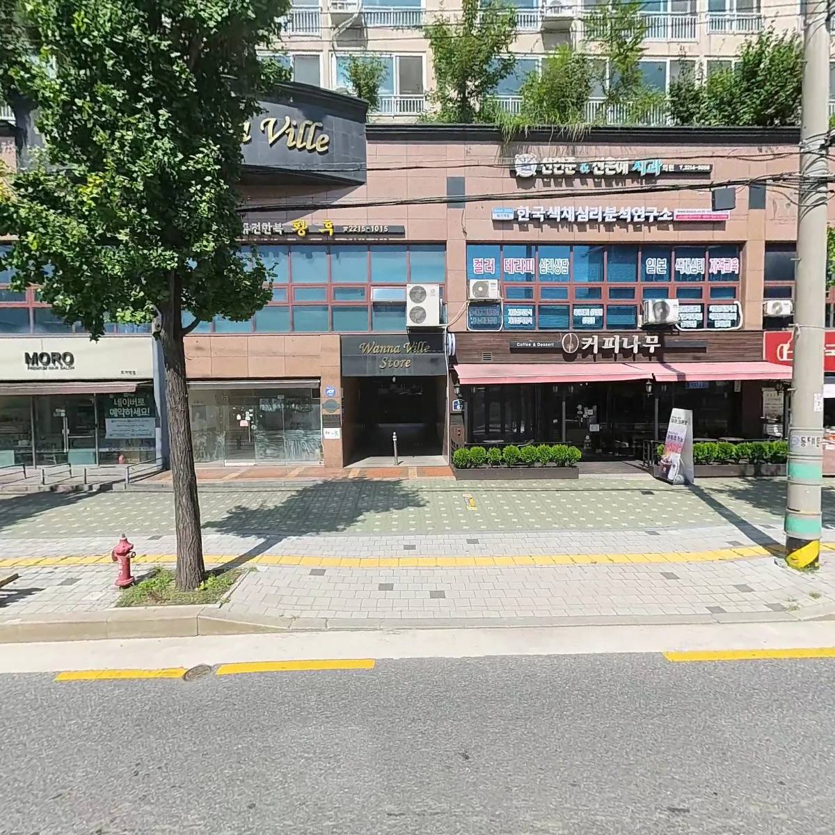 커피나무