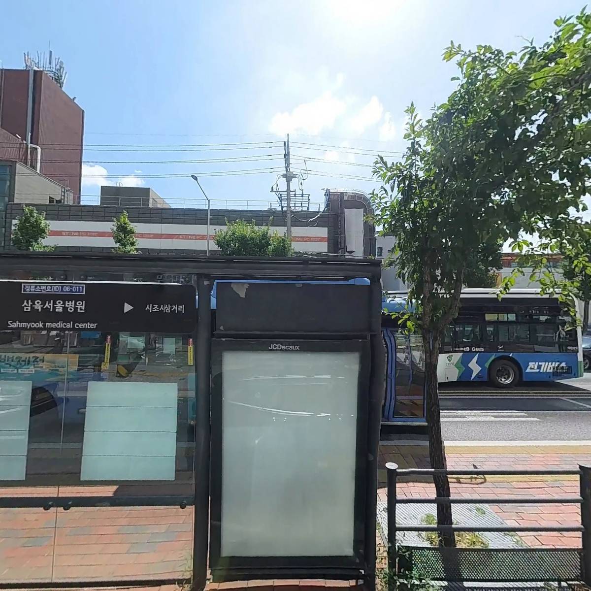커피나무_3
