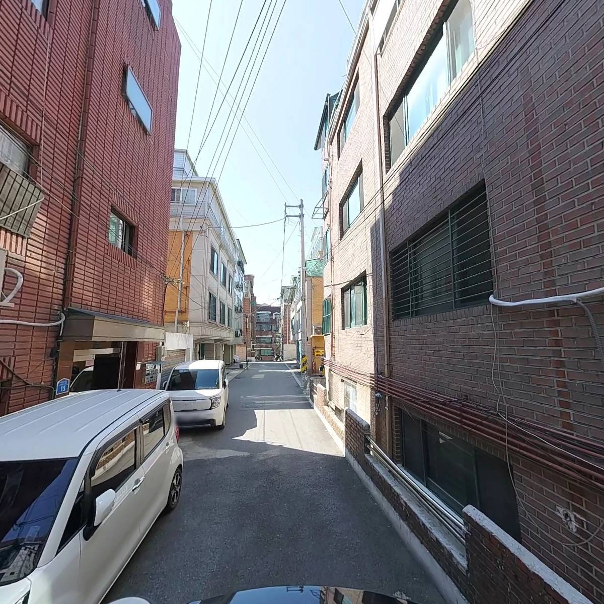 니아벡_2