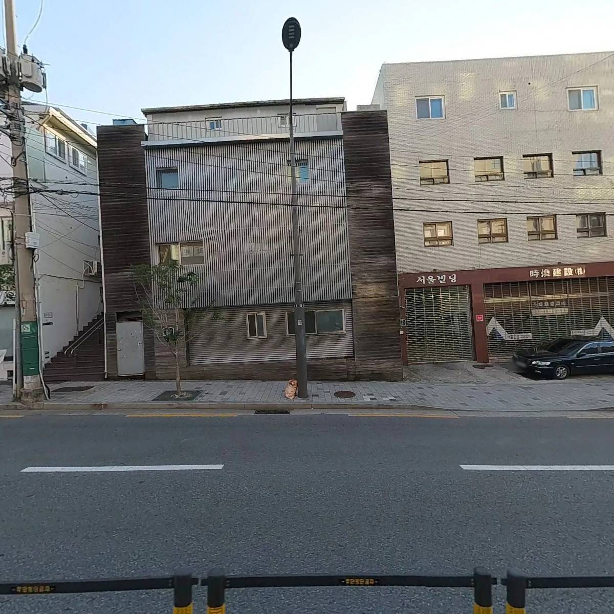 비주얼테드（Visual Ted）_3