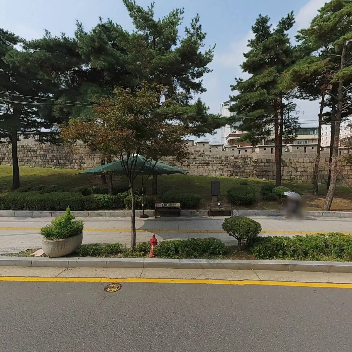 미송나염_3