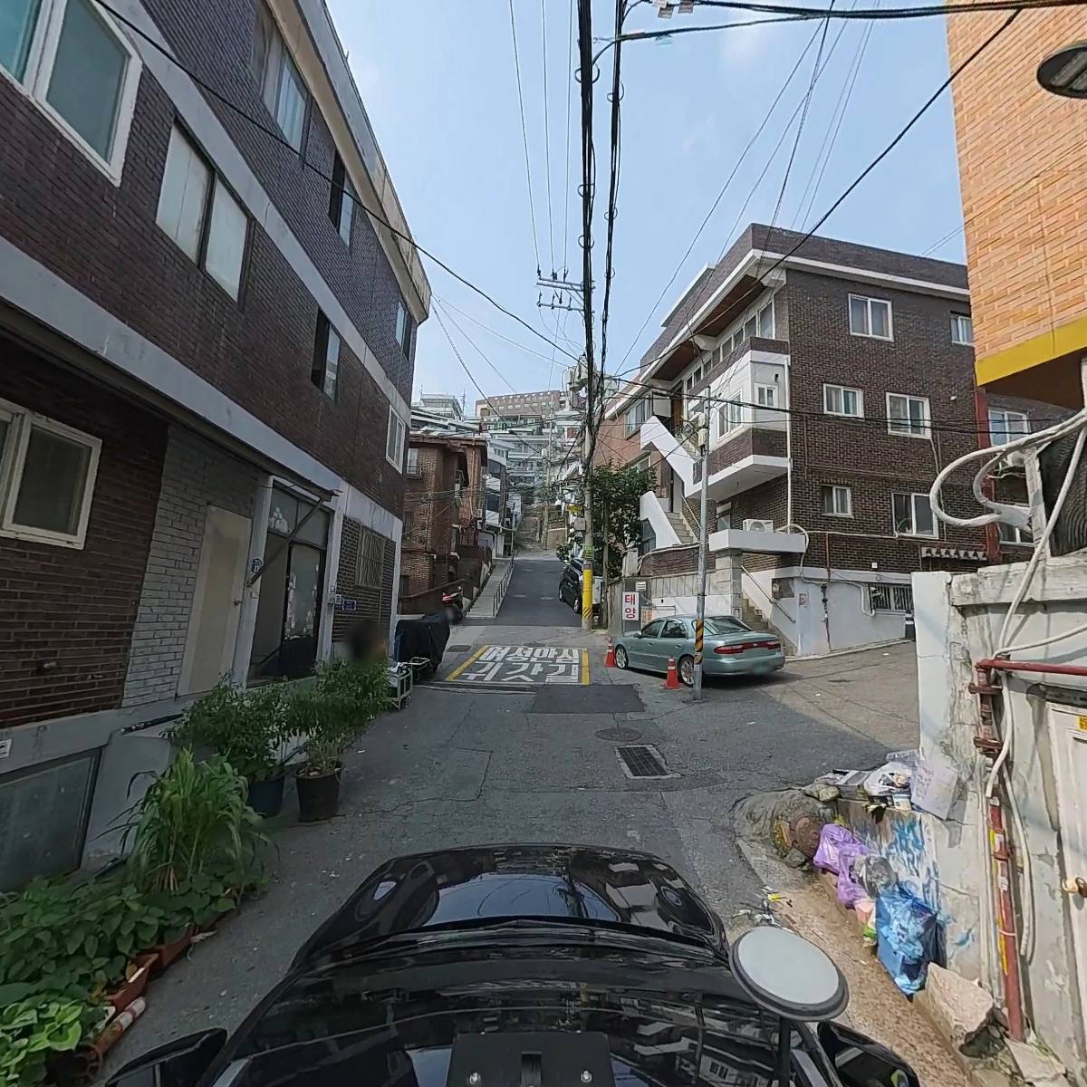 둥글레_4