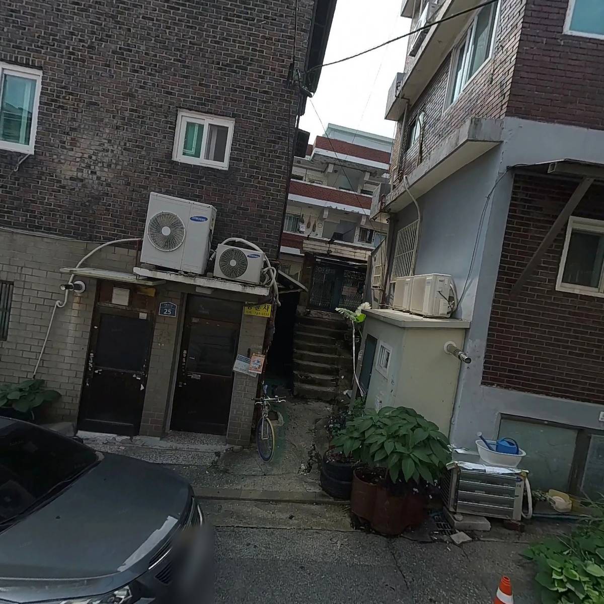 둥글레_3