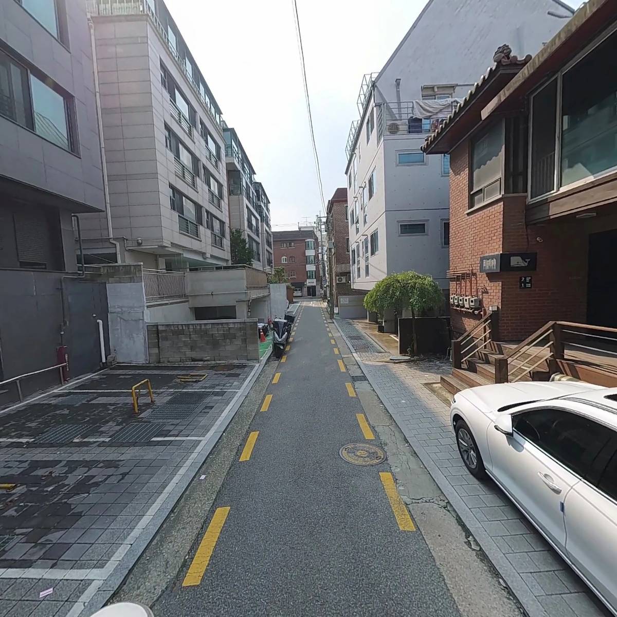 빅피쉬_2