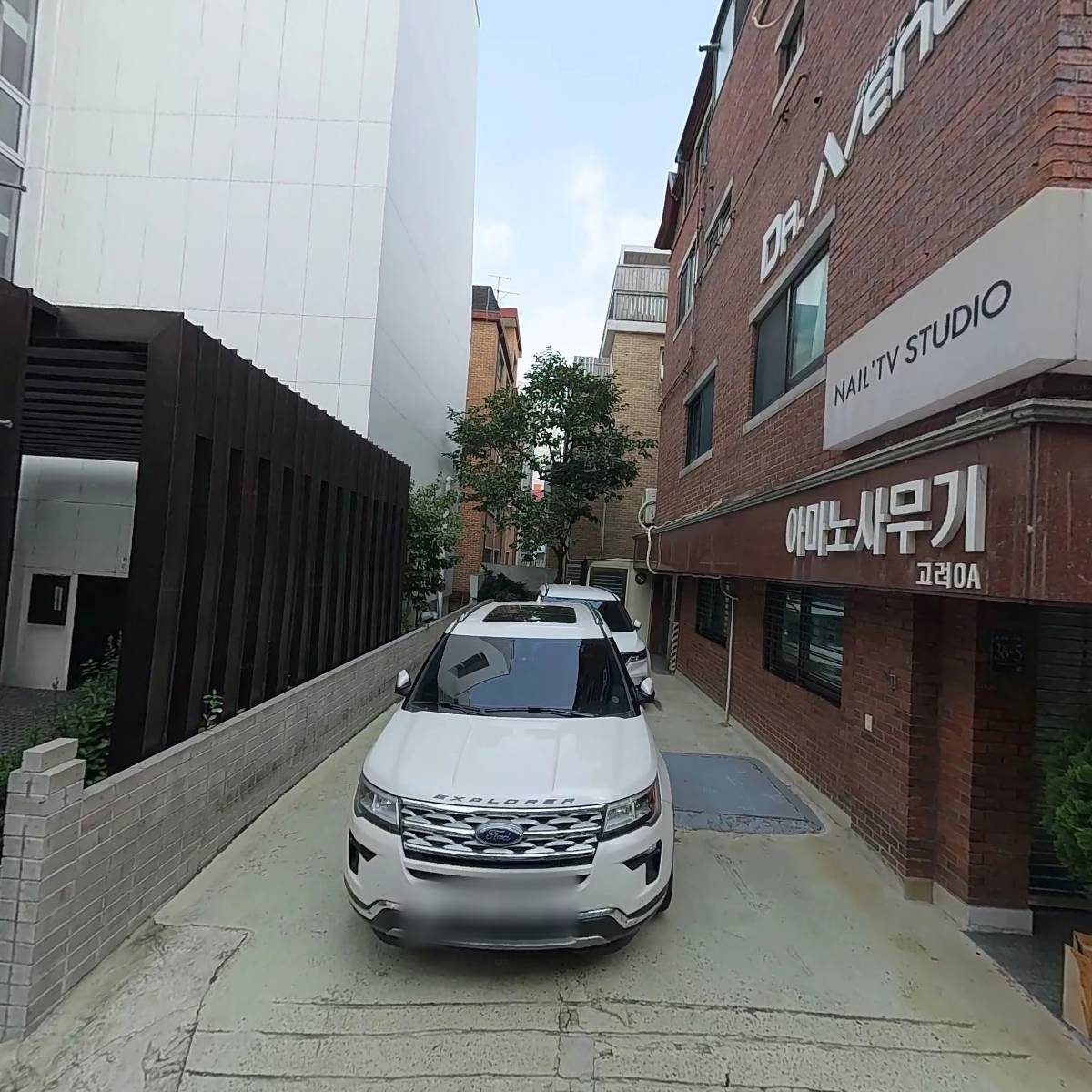 도르지지