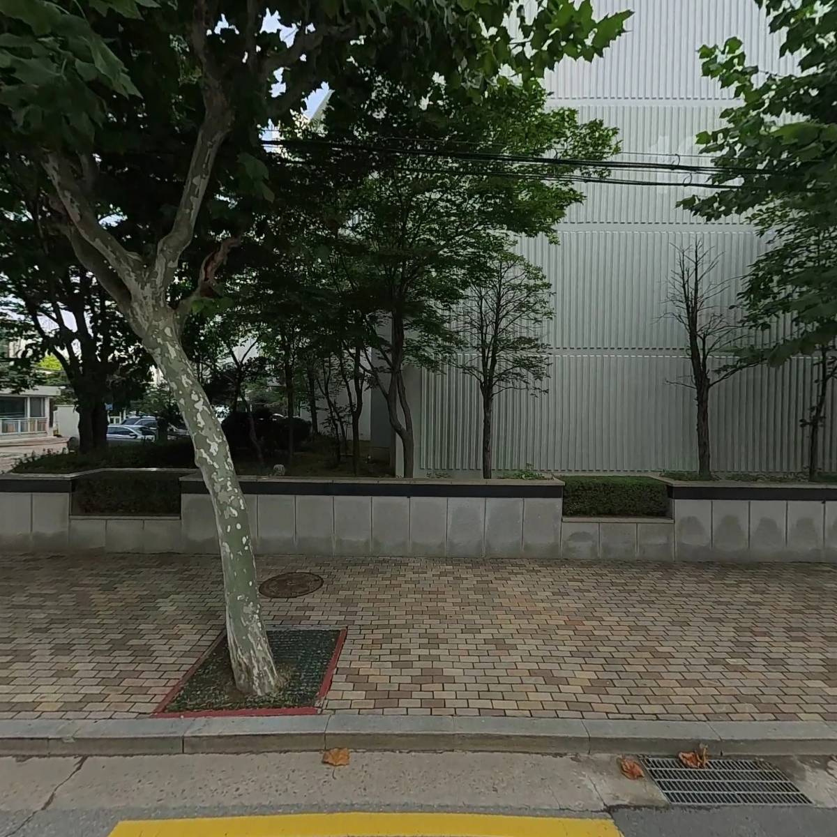 엠에스코