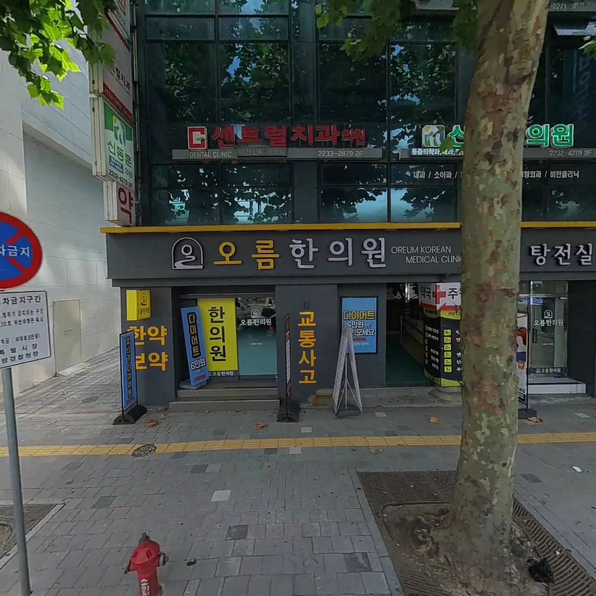 연세이비인후과