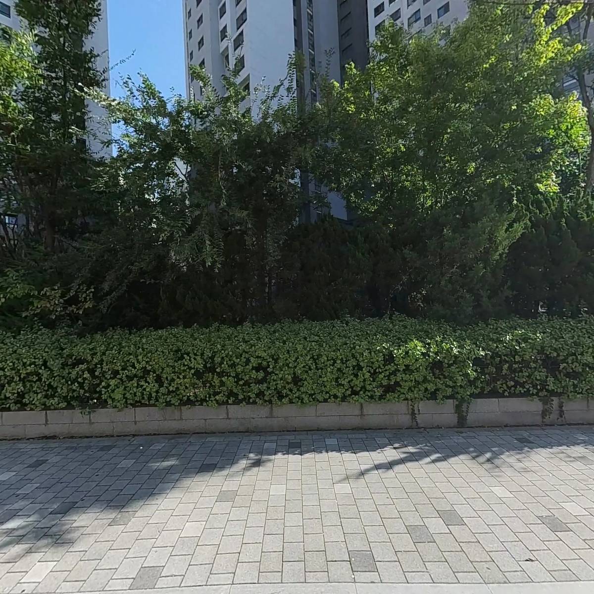 (주)차칸컴퍼니