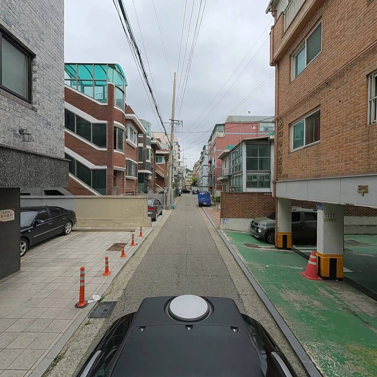 오리와장어_2