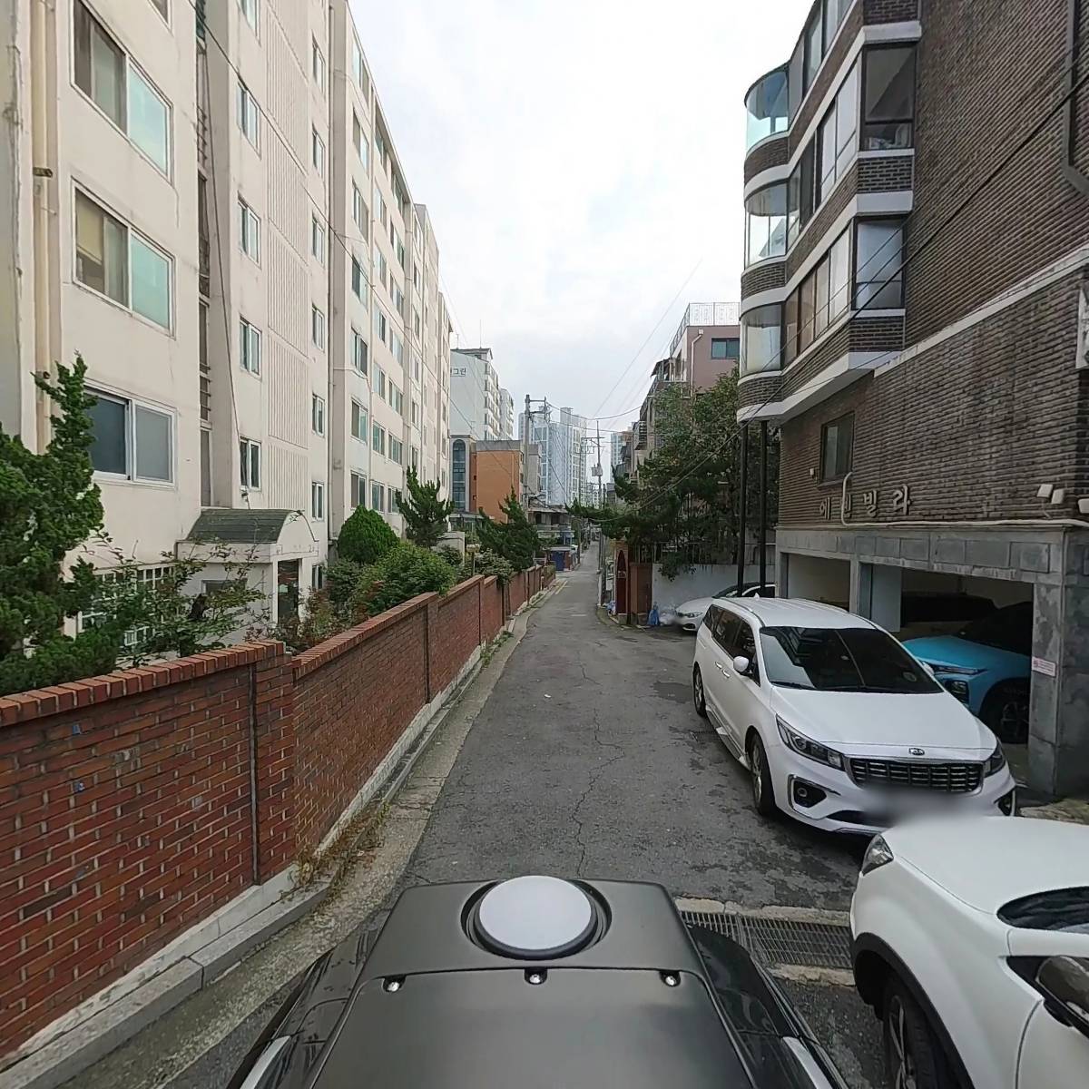 한일시트카바_2
