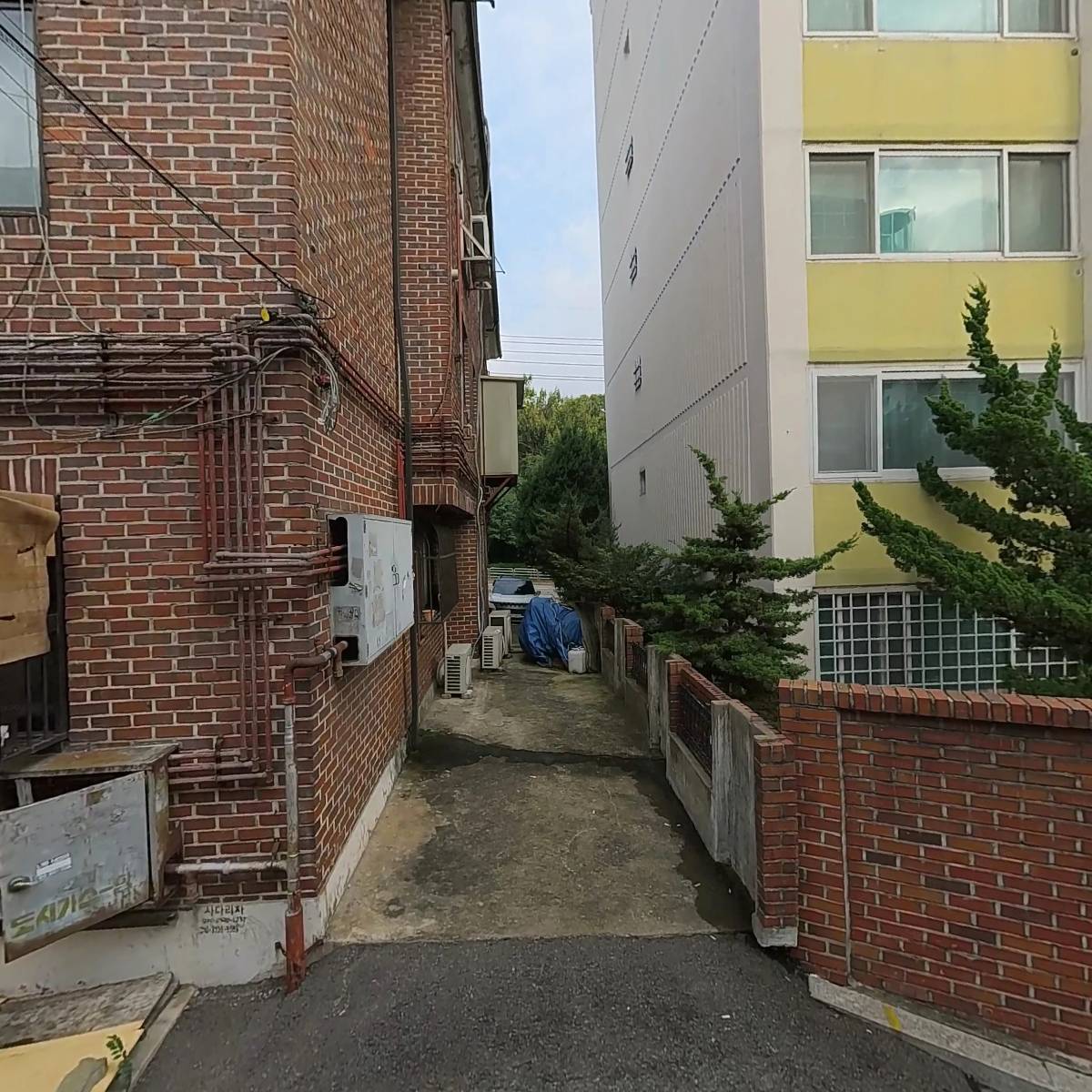 한일시트카바