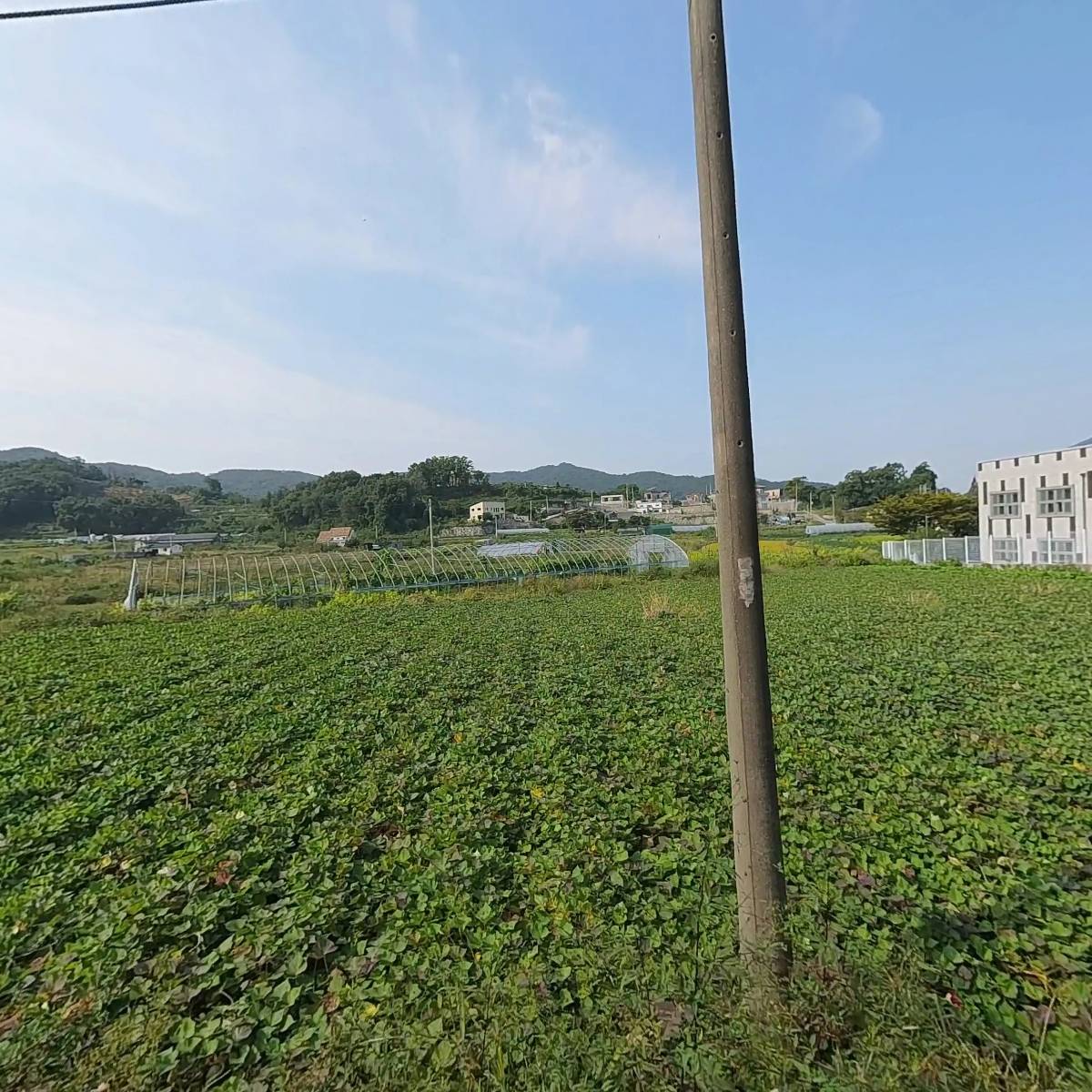 한애가(주)