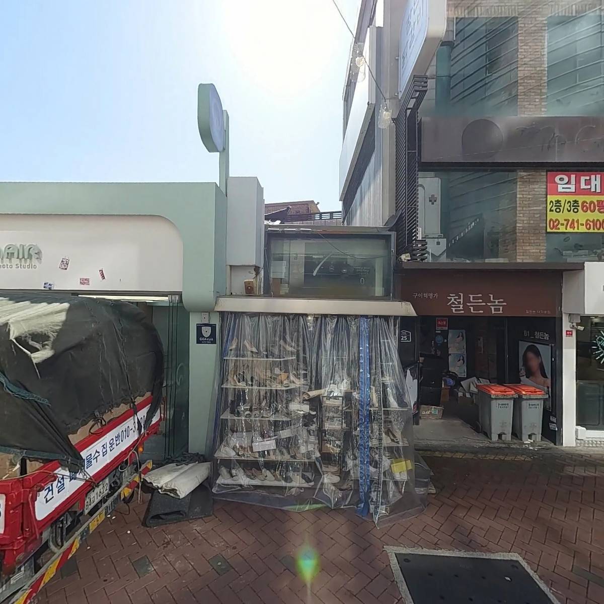 금고양이