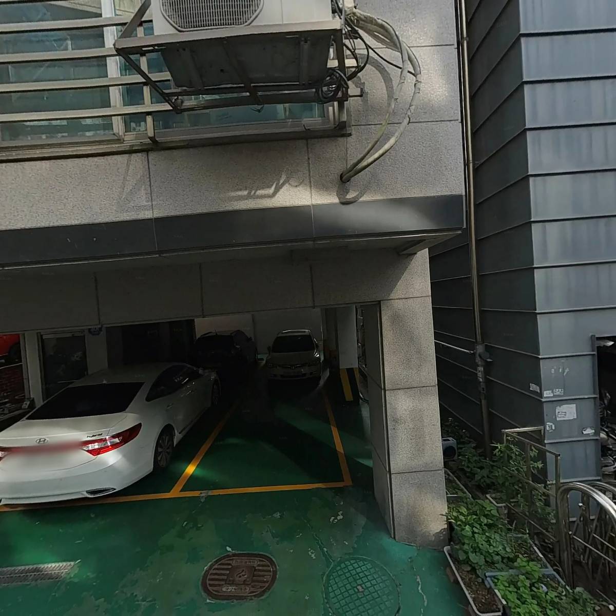 주식회사 디위드