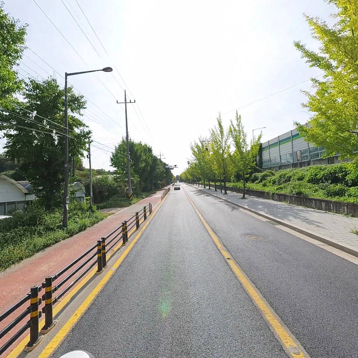 강남꽃직매장_2